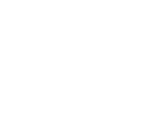board certified seal